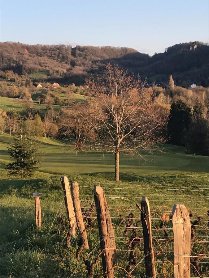 Golf Val De Sorne Vernantois Maison Vigneronne ภายนอก รูปภาพ